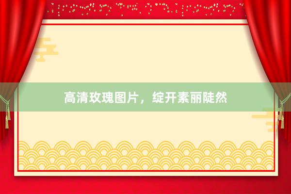 高清玫瑰图片，绽开素丽陡然