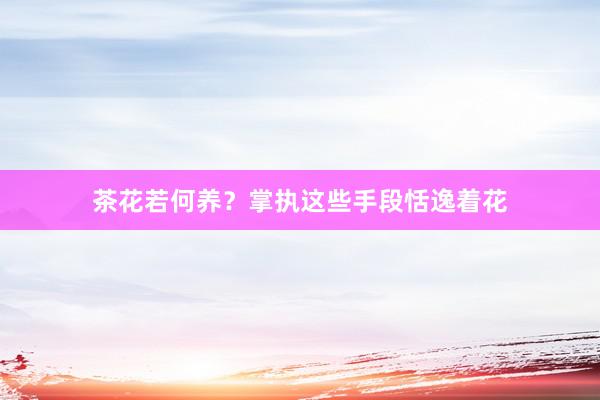 茶花若何养？掌执这些手段恬逸着花