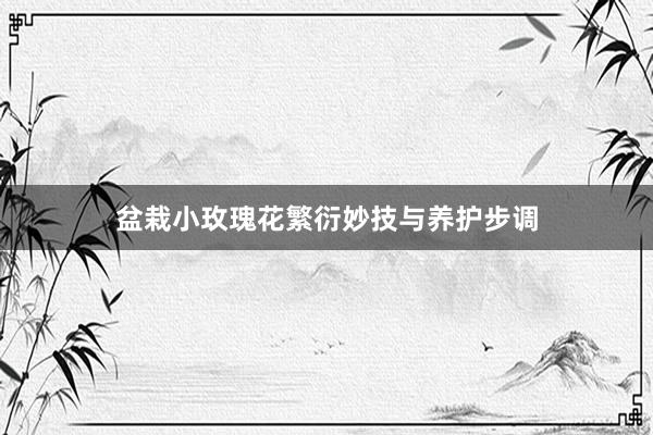 盆栽小玫瑰花繁衍妙技与养护步调