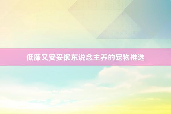 低廉又安妥懒东说念主养的宠物推选