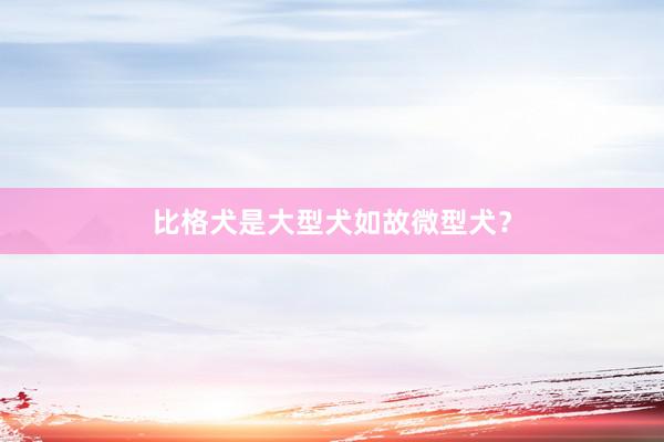 比格犬是大型犬如故微型犬？